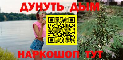 стафф Славгород