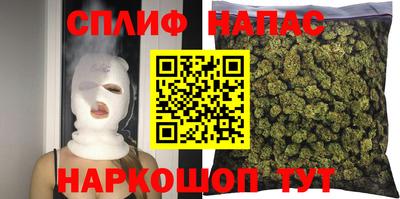 стафф Славгород