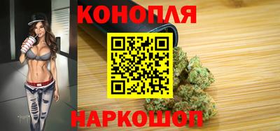 стафф Славгород