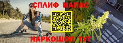 ешки Сланцы