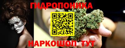 стафф Славгород