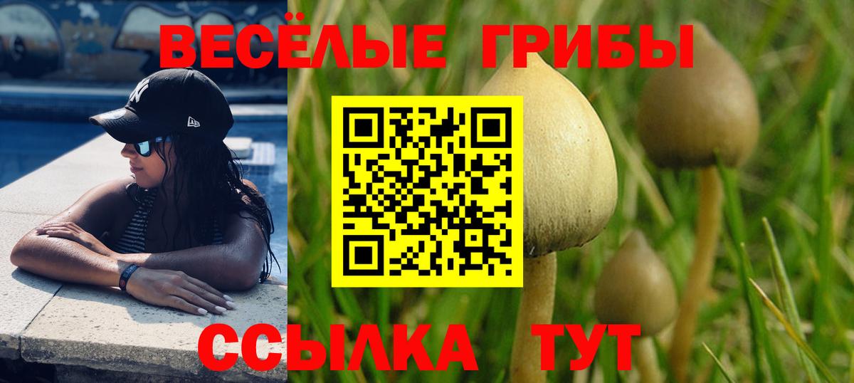 Псилоцибиновые грибы ЛСД Омск